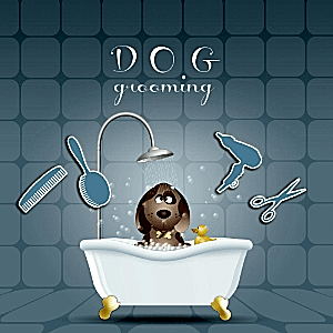 graphic of dog grooming with dogs in bath and scissors, brush, hair dryer, and comb surrounding bath