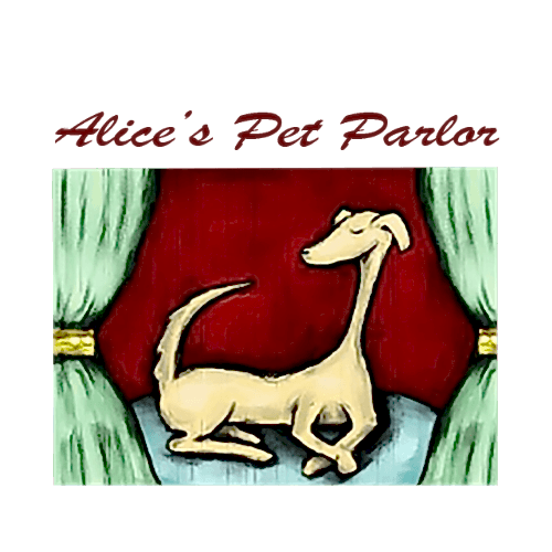 The Pet Parlor & Unique Boutique Groomers in Reno