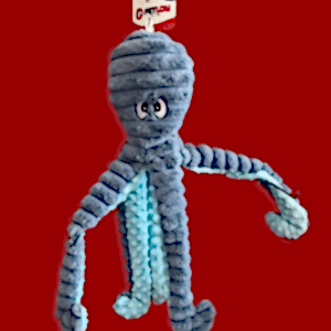 blue octopus chew toy